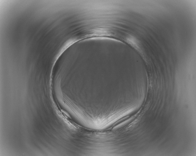 X0000066011378200603242046