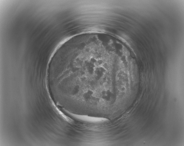 X0000066011379200603242046