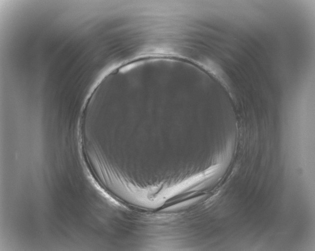 X0000066011382200603242046