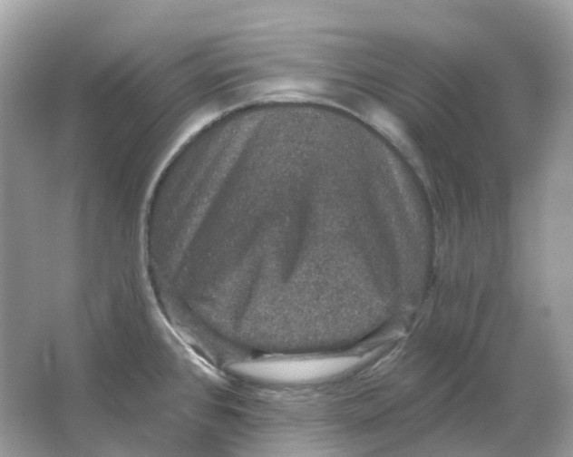 X0000066011384200603242046