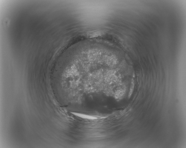 X0000066011393200603242045