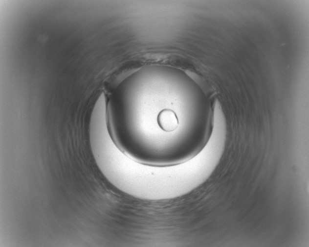 X0000066011394200603242045