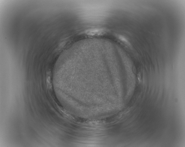 X0000066011396200603242045