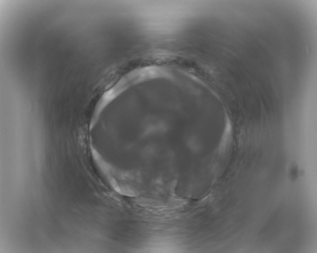 X0000066011397200603242045