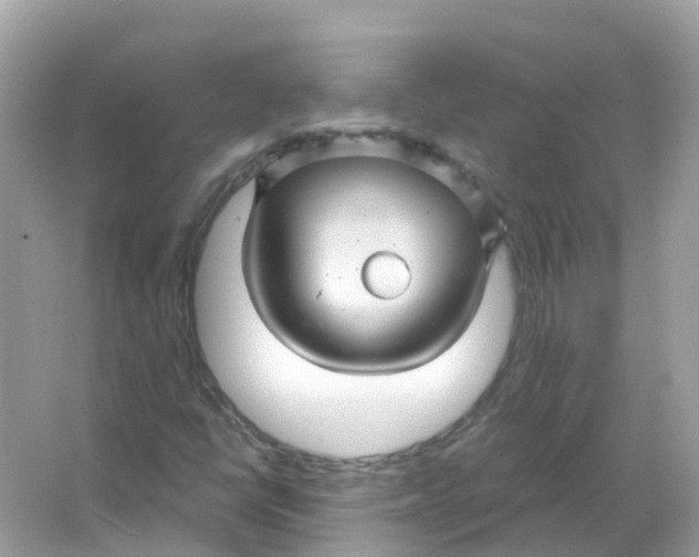 X0000066011398200603242045