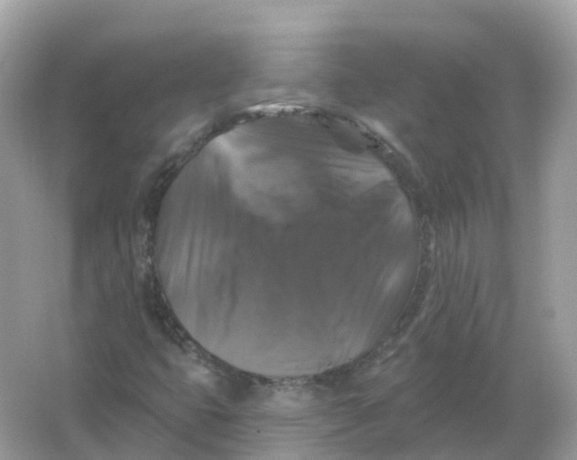 X0000066011399200603242045