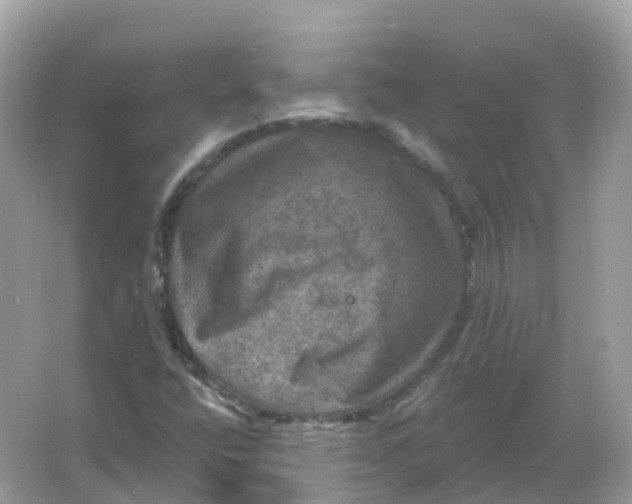 X0000066011400200603242045