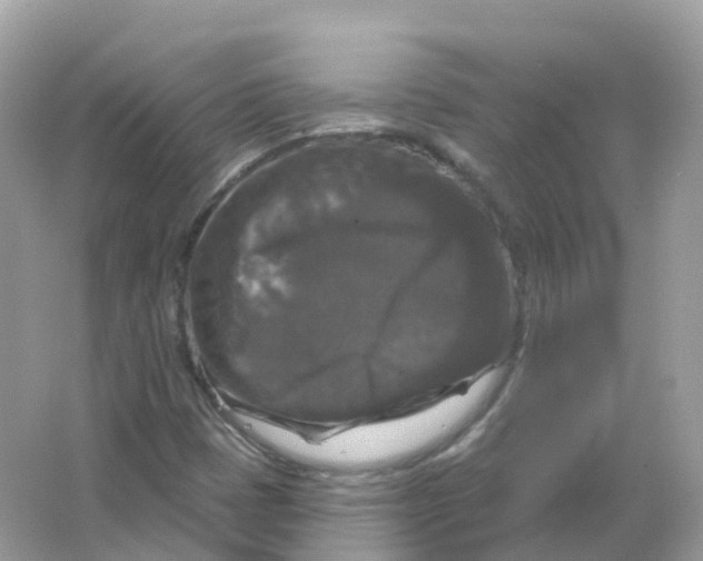 X0000066011401200603242045