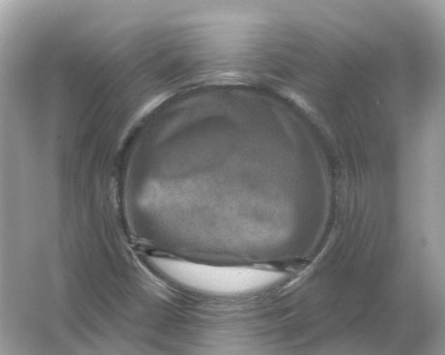 X0000066011402200603242045