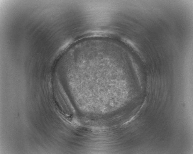 X0000066011403200603242045