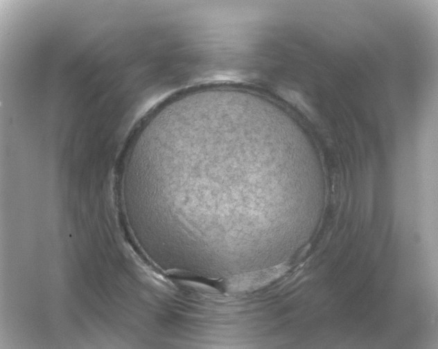 X0000066011404200603242045