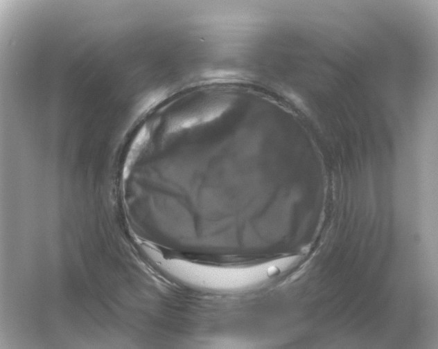 X0000066011405200603242045