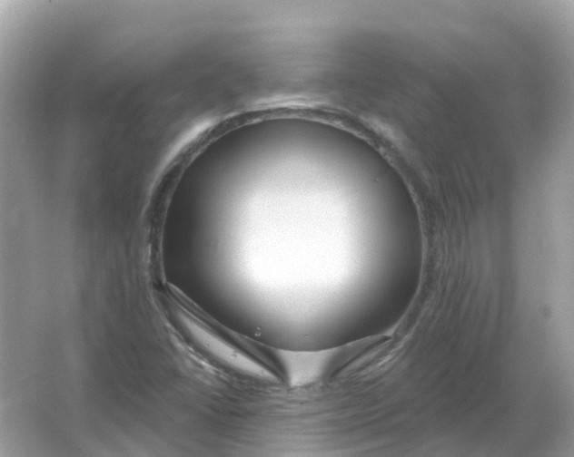 X0000066011406200603242045