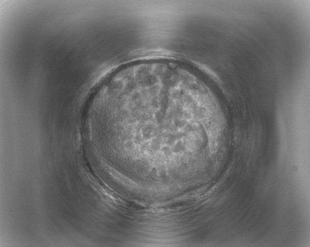 X0000066011407200603242045