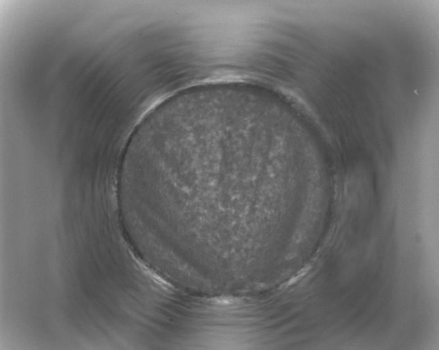 X0000066011409200603242045