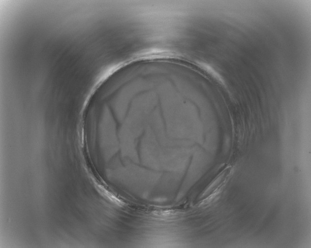 X0000066011413200603242046