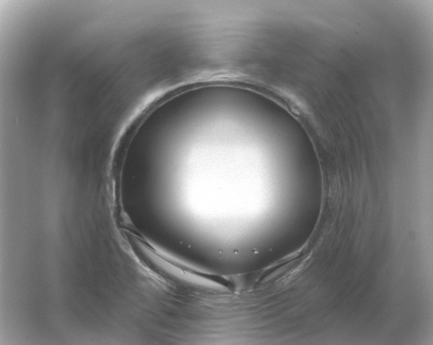 X0000066011414200603242046