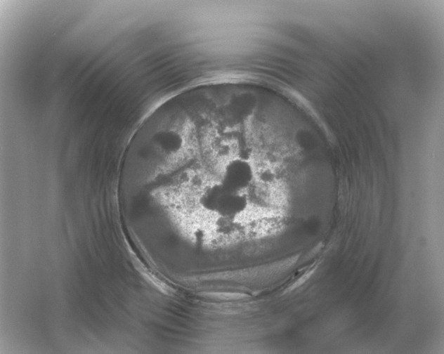 X0000066011417200603242046