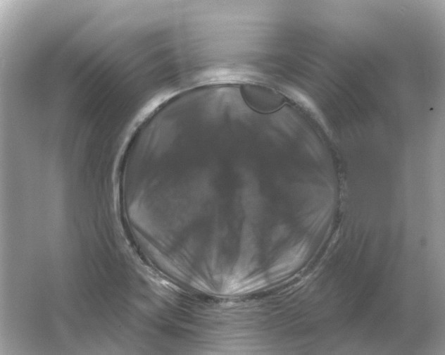 X0000066011419200603242046