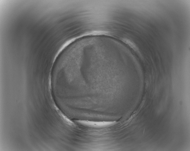 X0000066011420200603242046