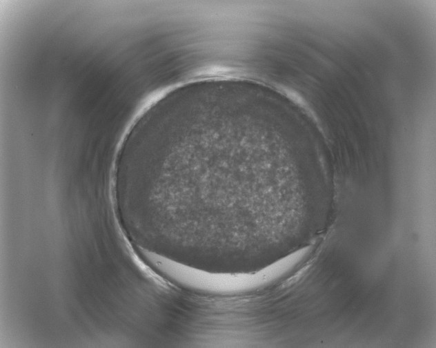 X0000066011421200603242046