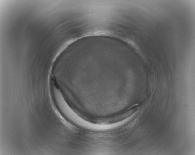 X0000066011422200603242046