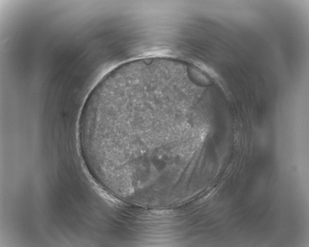 X0000066011423200603242046