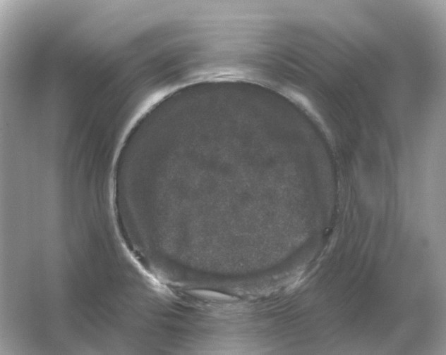 X0000066011424200603242046