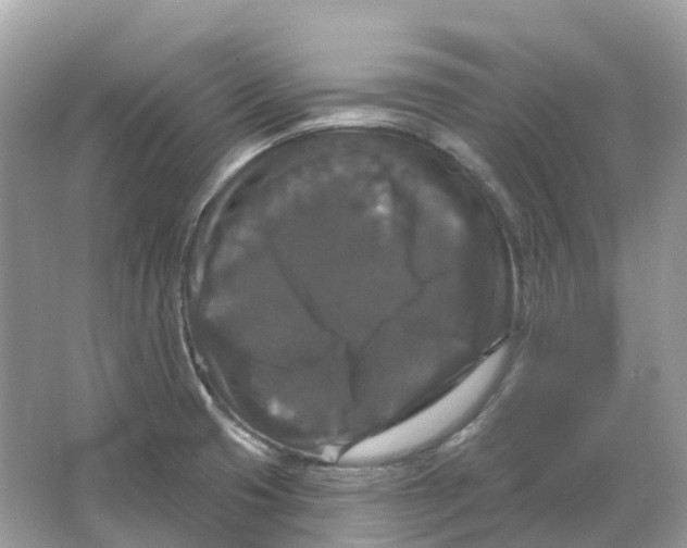 X0000066011425200603242046