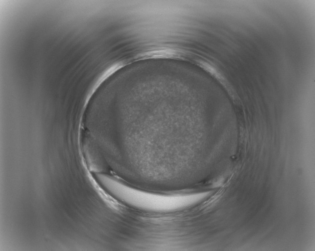 X0000066011426200603242046