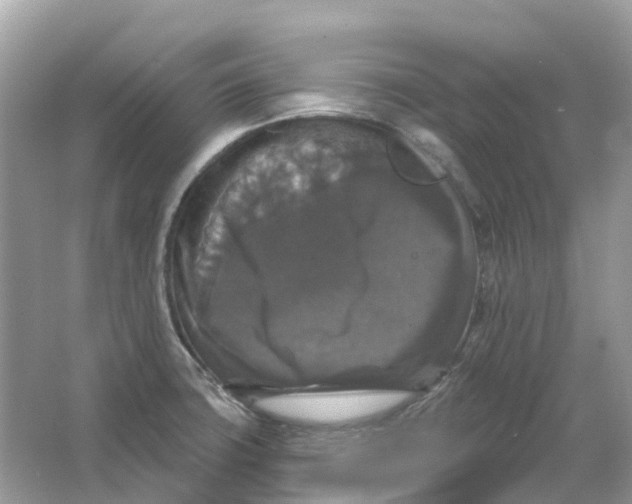 X0000066011427200603242046