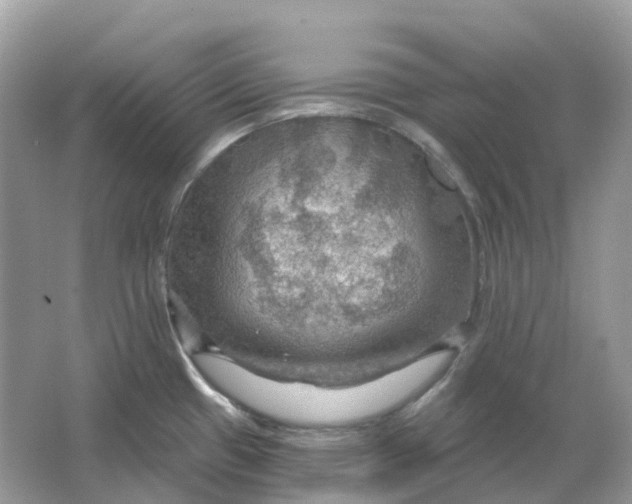 X0000066011433200603242046