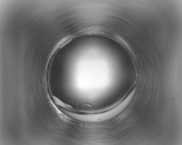 X0000066011434200603242046