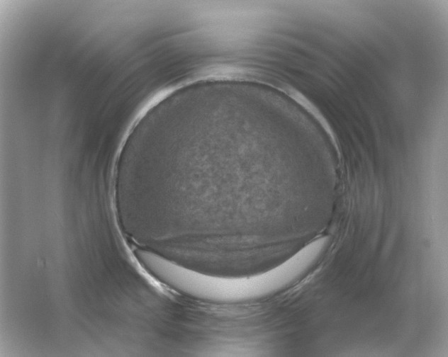 X0000066011437200603242046