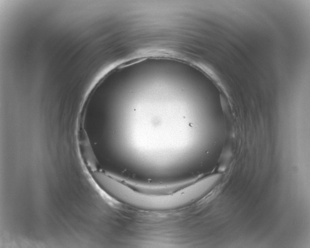 X0000066011438200603242046