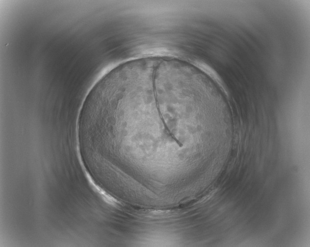 X0000066011439200603242046