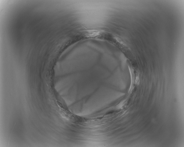 X0000066011441200603242045