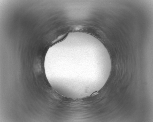 X0000066011442200603242045