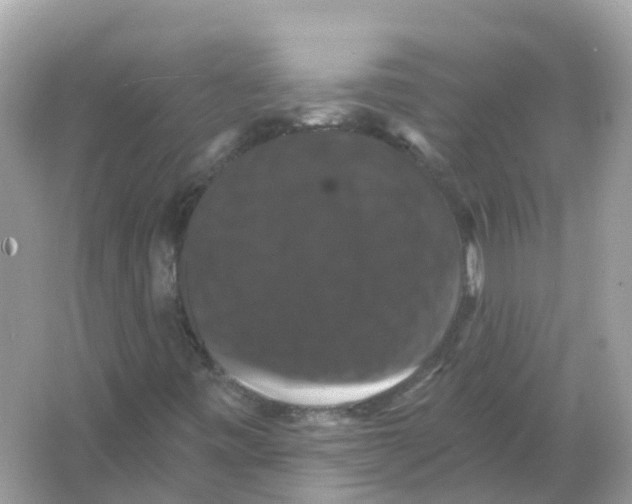 X0000066011443200603242045