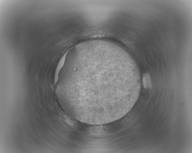 X0000066011444200603242045