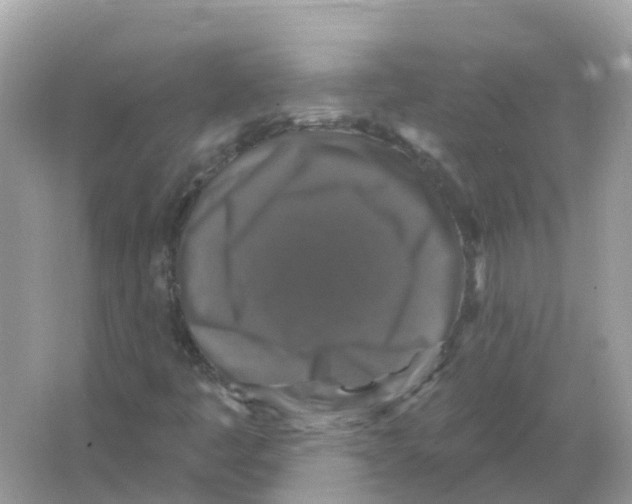 X0000066011445200603242045