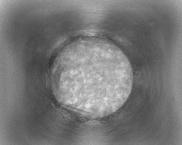 X0000066011446200603242045