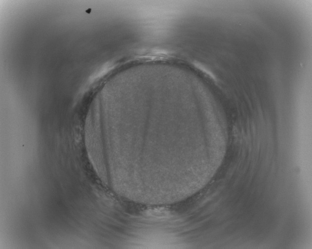 X0000066011447200603242045