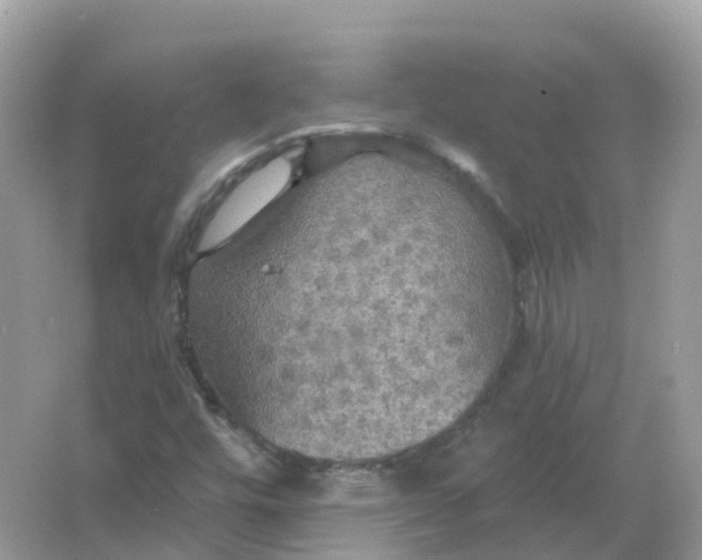 X0000066011448200603242045