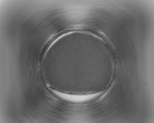 X0000066011449200603242045