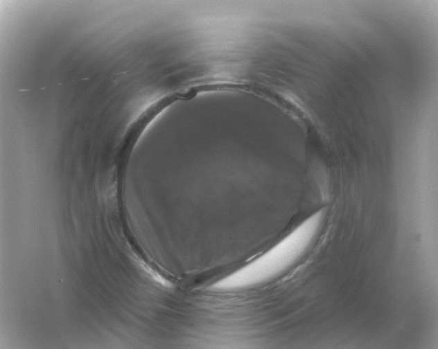 X0000066011450200603242045