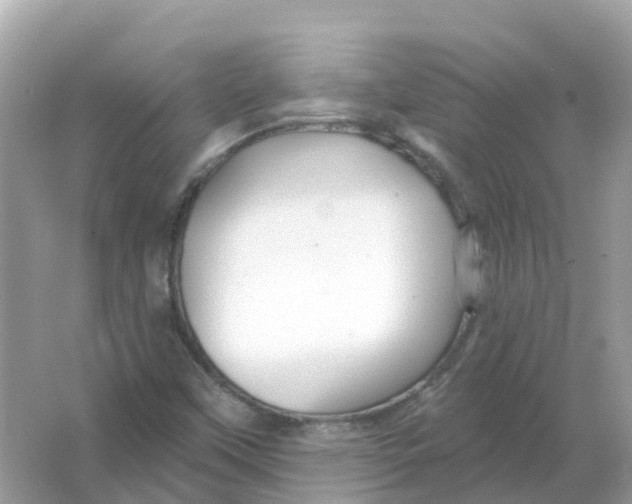 X0000066011451200603242045