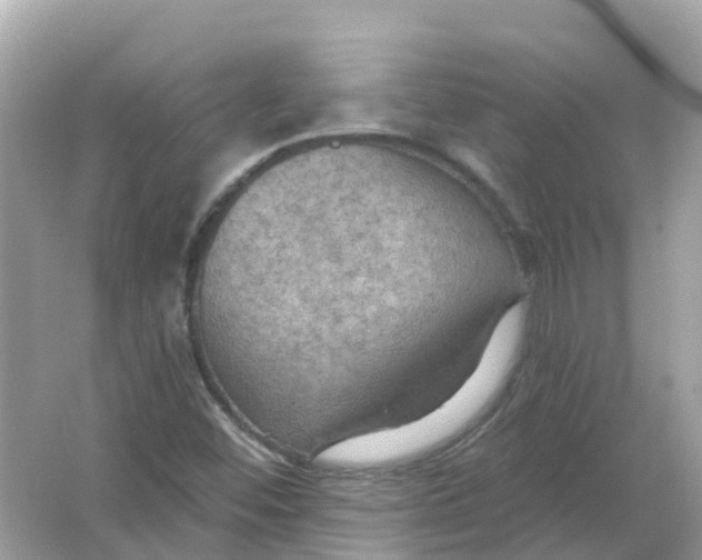 X0000066011452200603242045