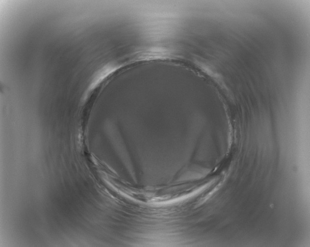 X0000066011453200603242045