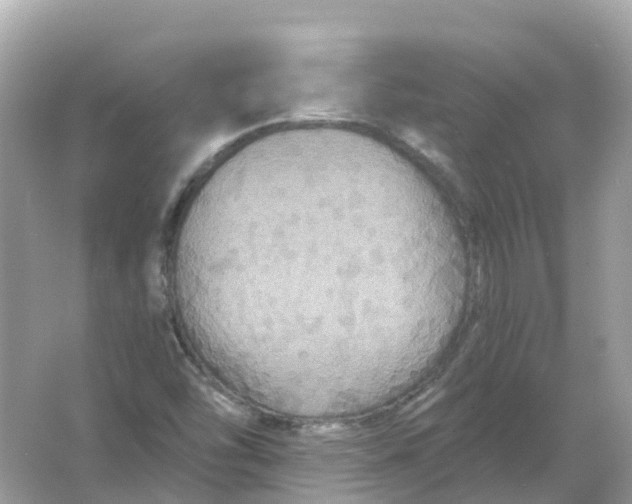 X0000066011454200603242045